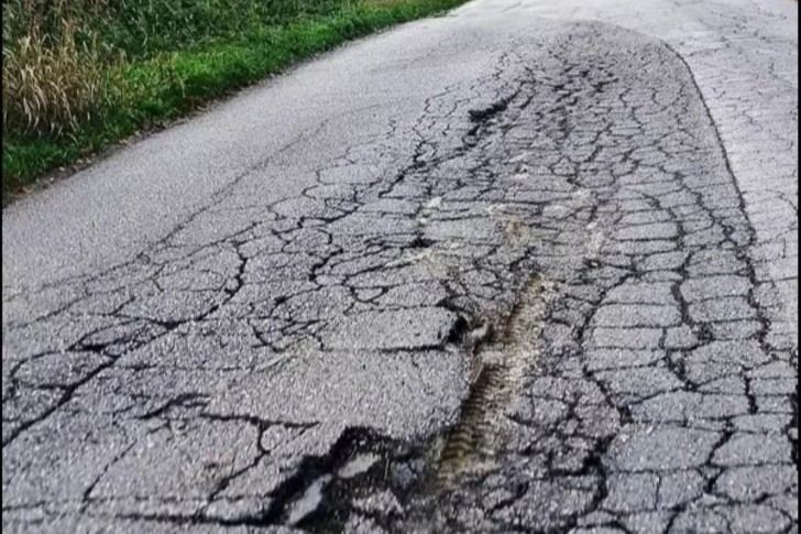 Regionalni put Trbušani-Jeremića ornica-Pranjani
