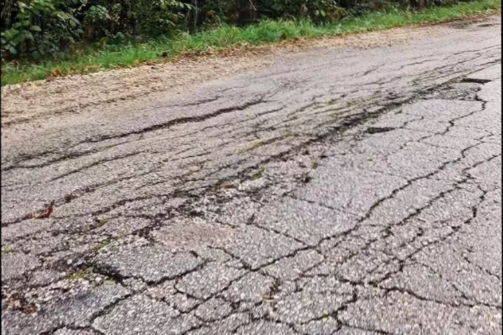 Regionalni put Trbušani-Jeremića ornica-Pranjani