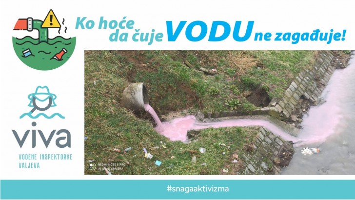Roze Ljubostinja 