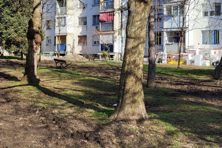 Zelena površina u Naselju Milorada Pavlovića