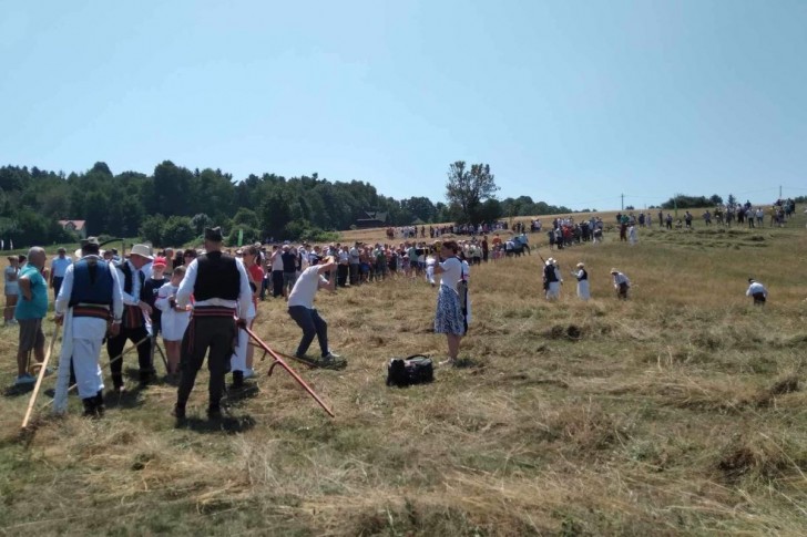 Revijalna priredba