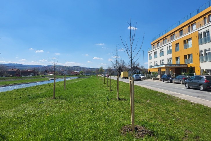 Nove sadnice u Ulici Mirka Obradovića