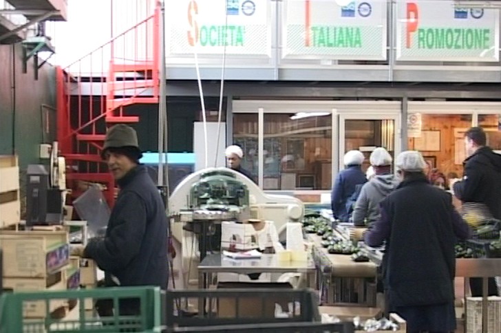 Tržnica Milano