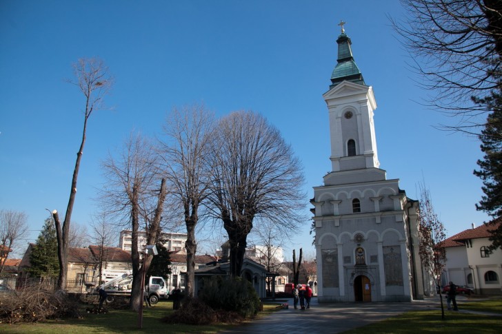 Sređivanje drveća ispred crkve