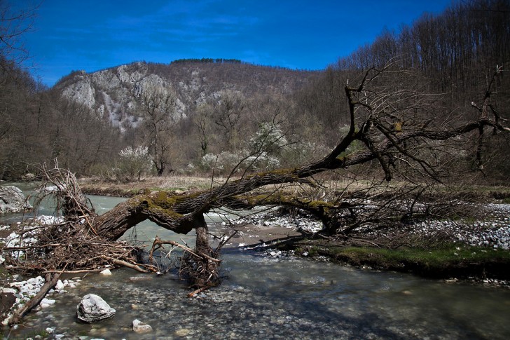 Devojački vir