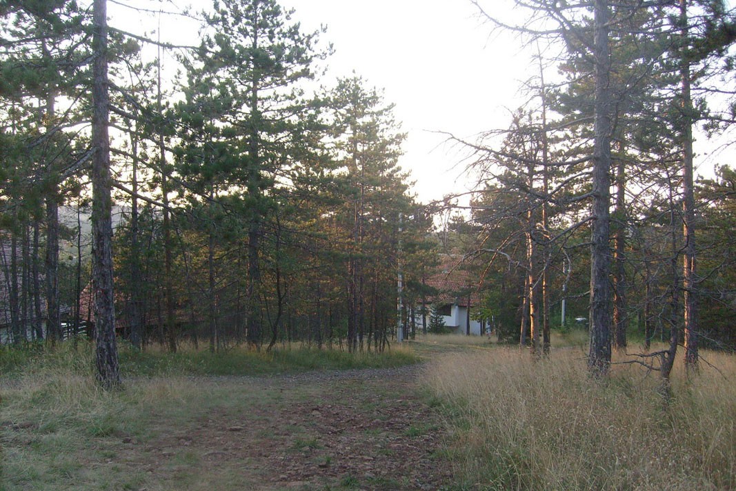 Home in the hills