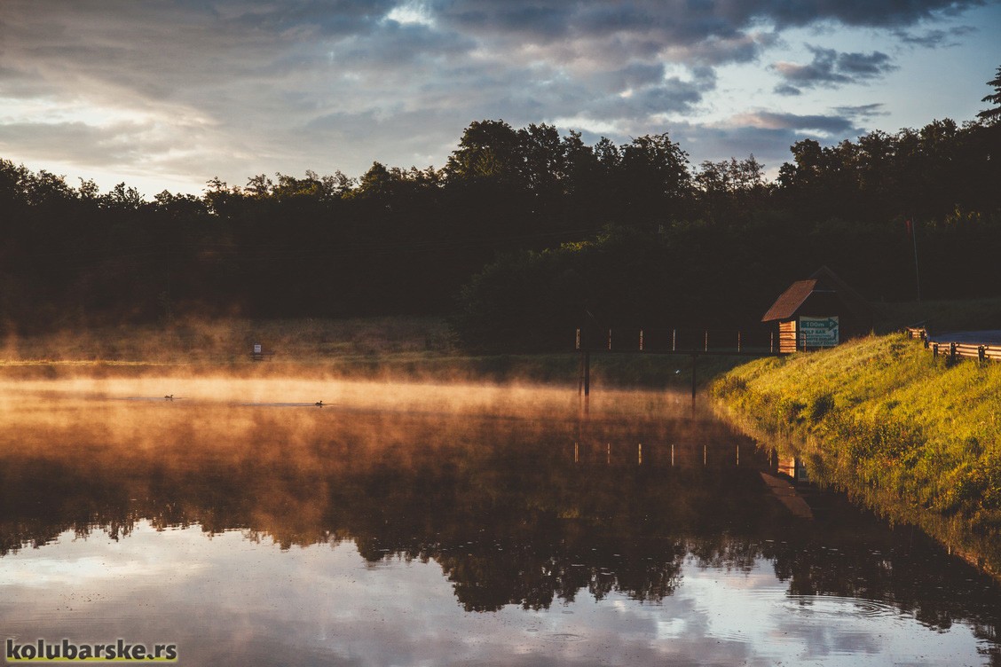 Svitanje