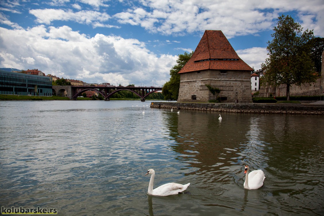 Drava