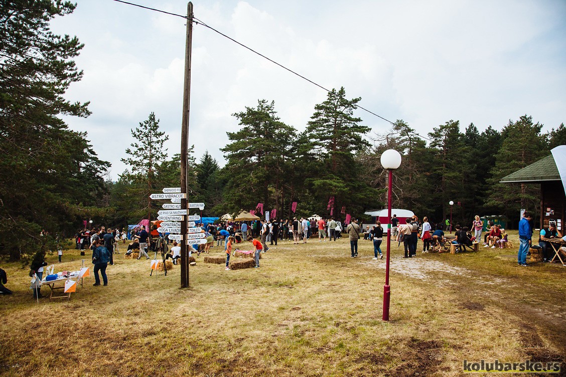 Mountain music fest