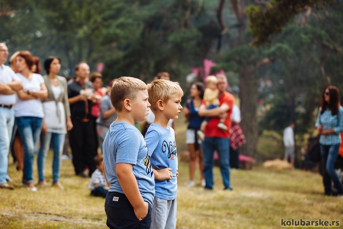 Mountain music fest