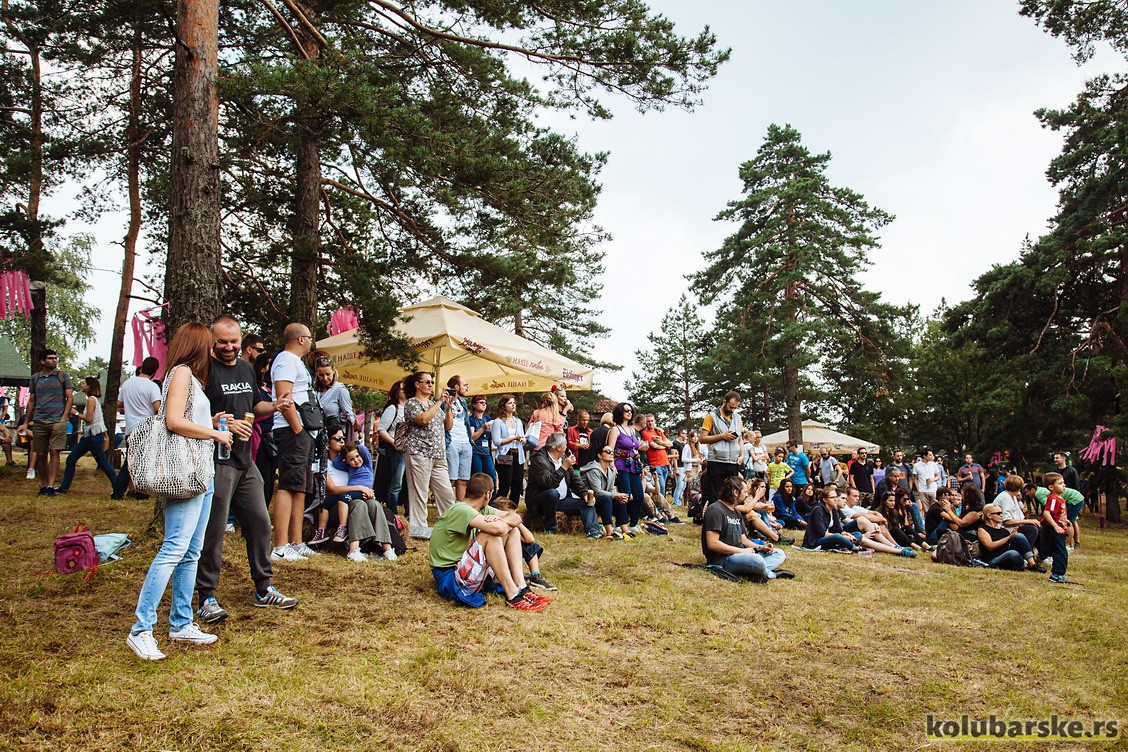 Mountain music fest