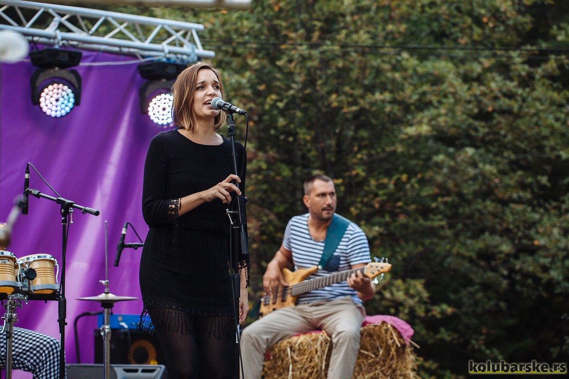 Mountain music fest
