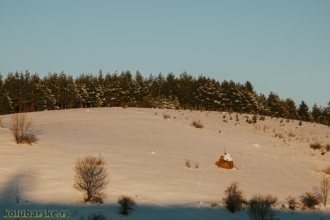 Na putu za Povlen