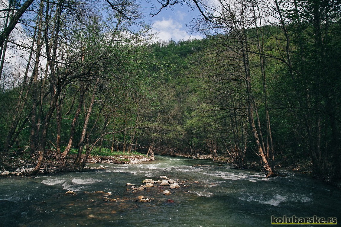 Gradac