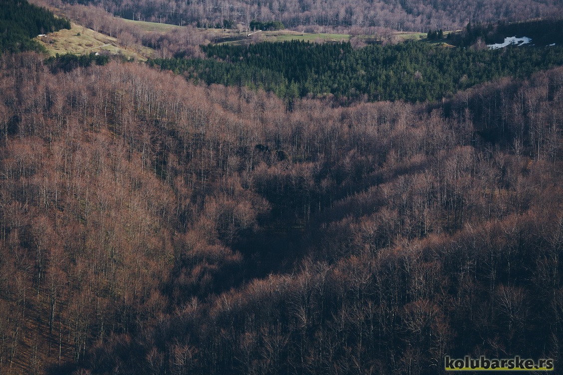 Obronci Povlena