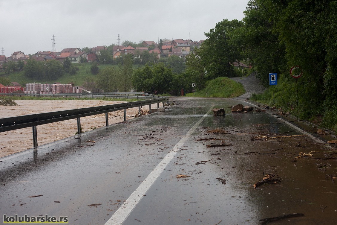 Loznički put, uzvodno od KP doma, 15. maj