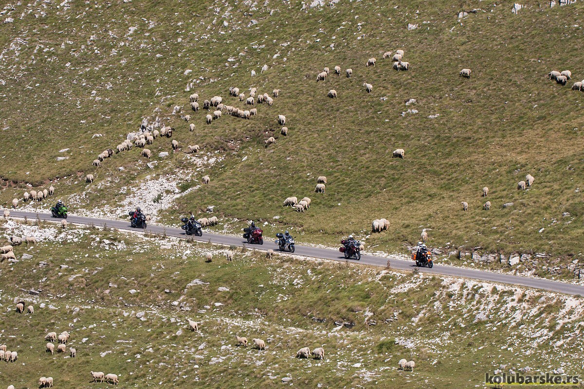 Dobri Do