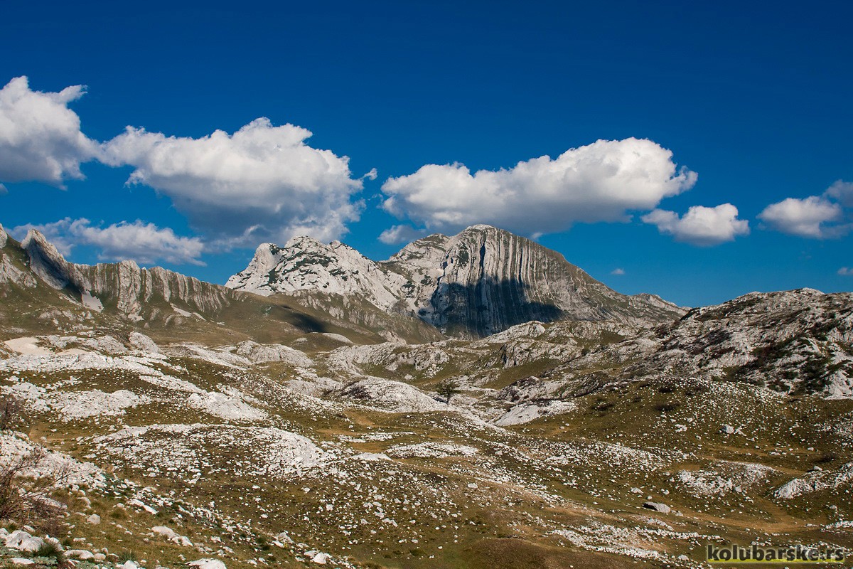 Prutaš