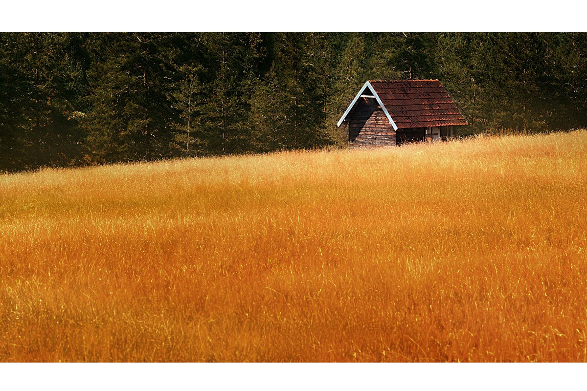 Divcibare's field