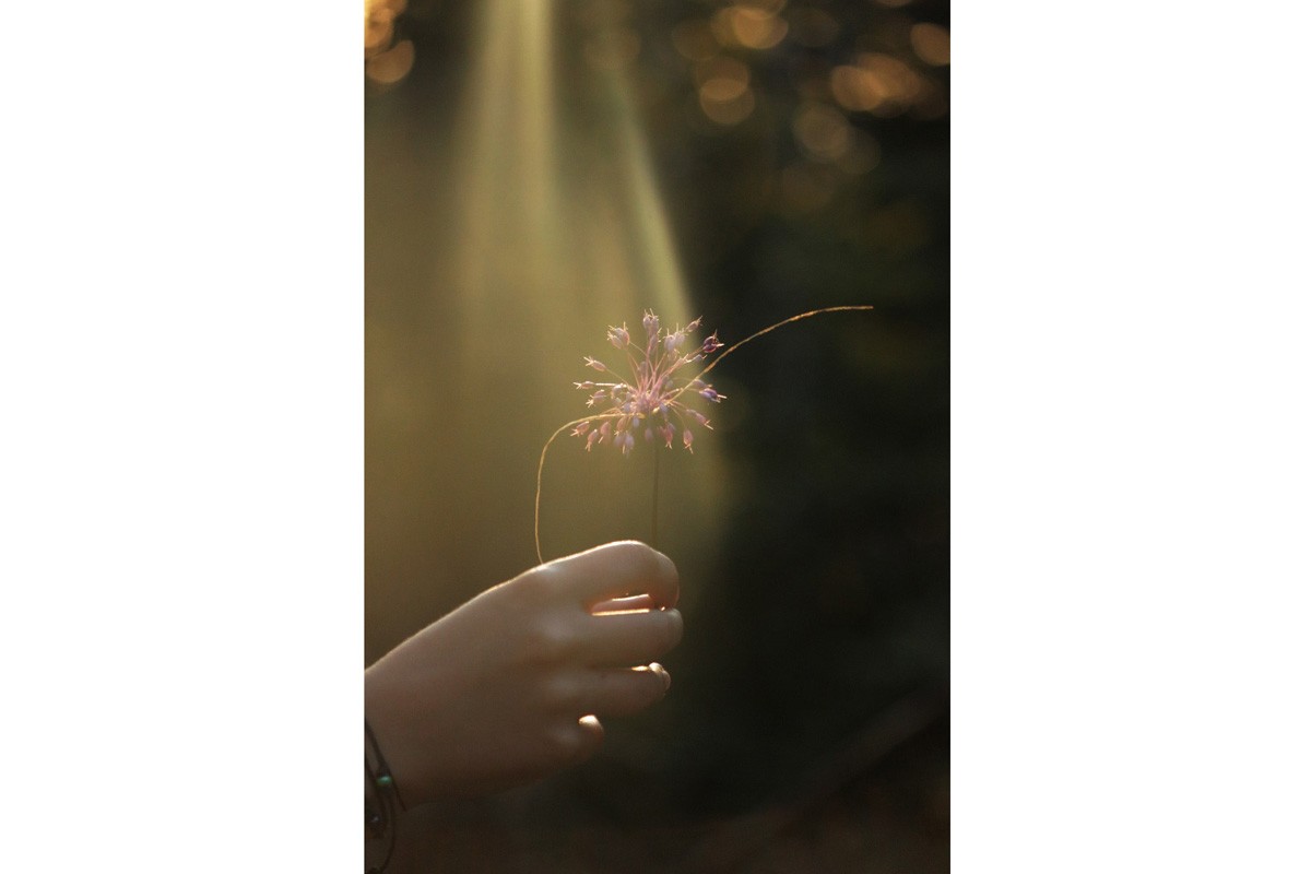 Alium Benedictmus