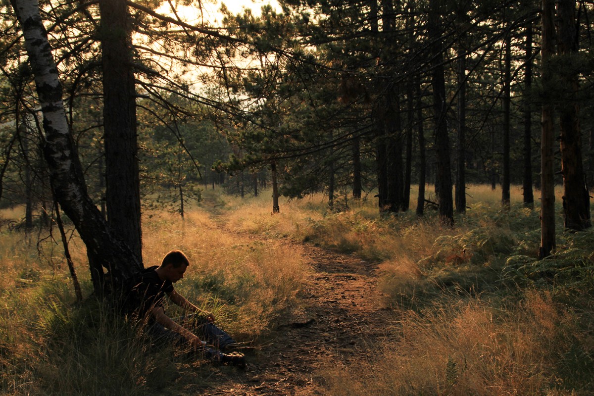 The Wanderer
