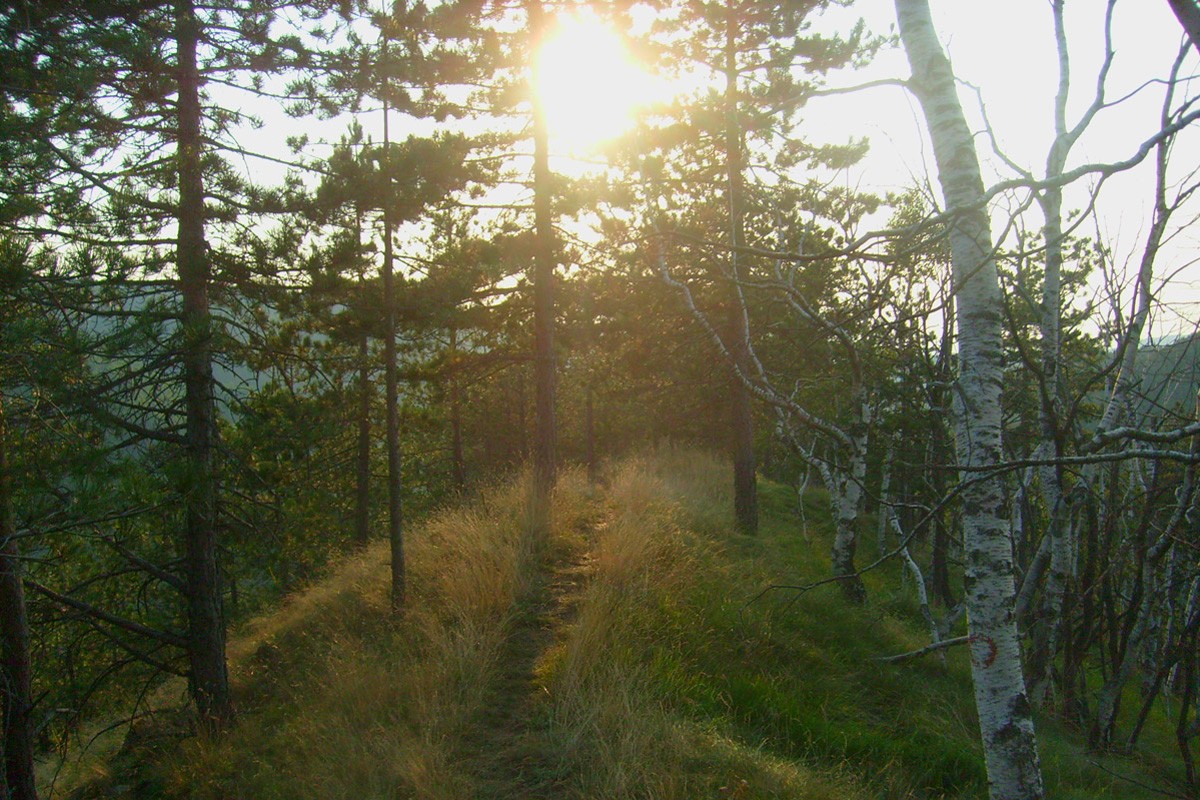 Sunny route