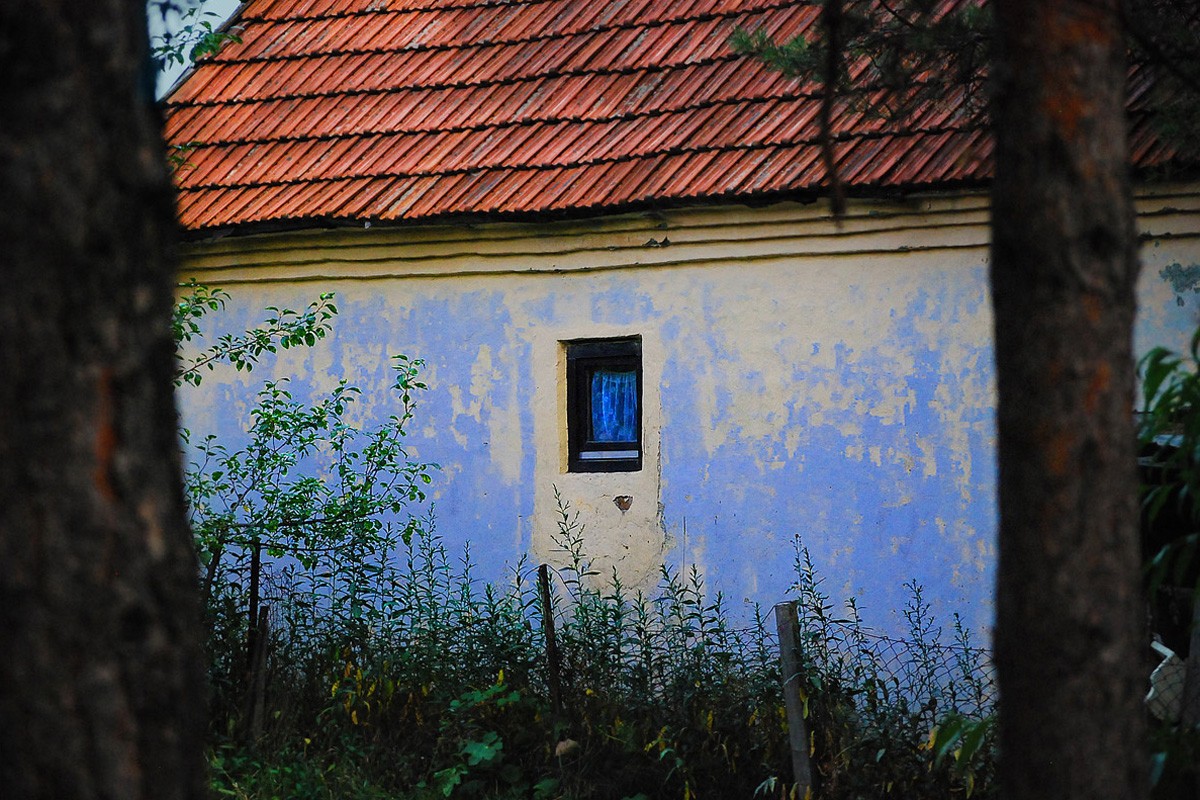 Kind of blue