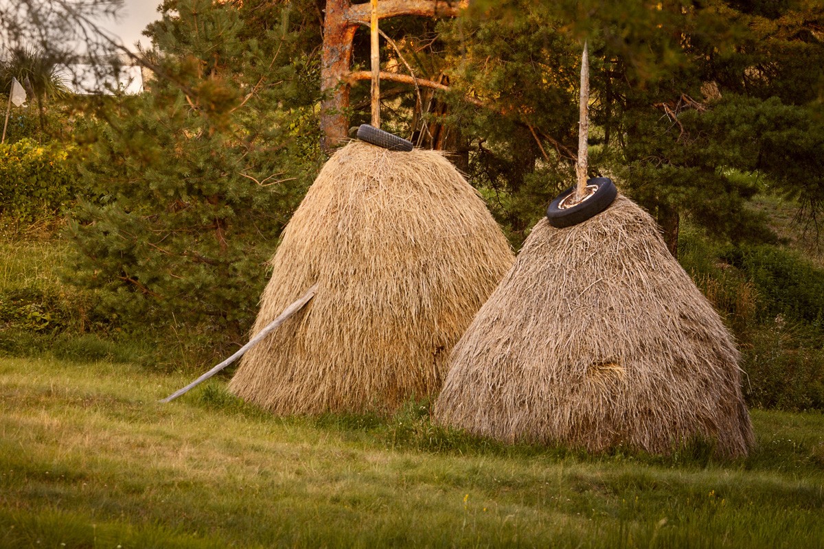 Warmth together