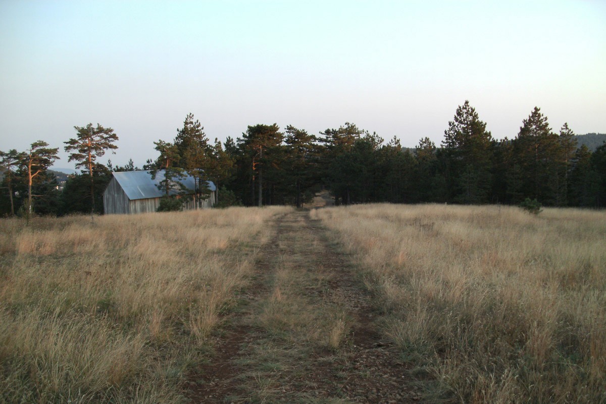 Road To Nowhere
