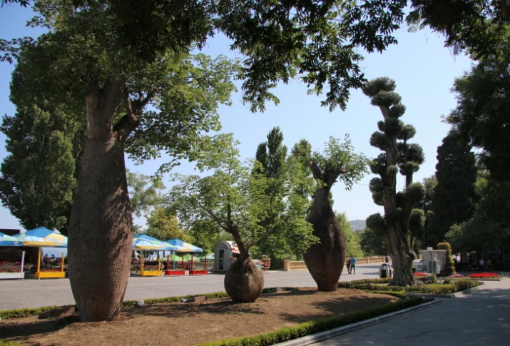 Park u Bakuu