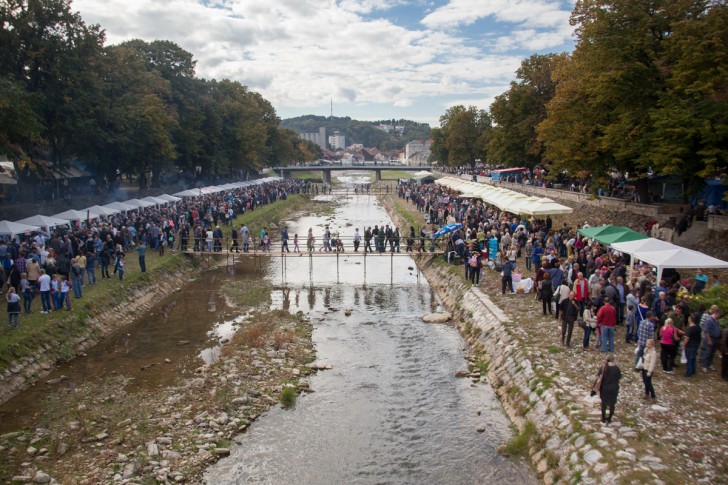 Festival duvan čvaraka