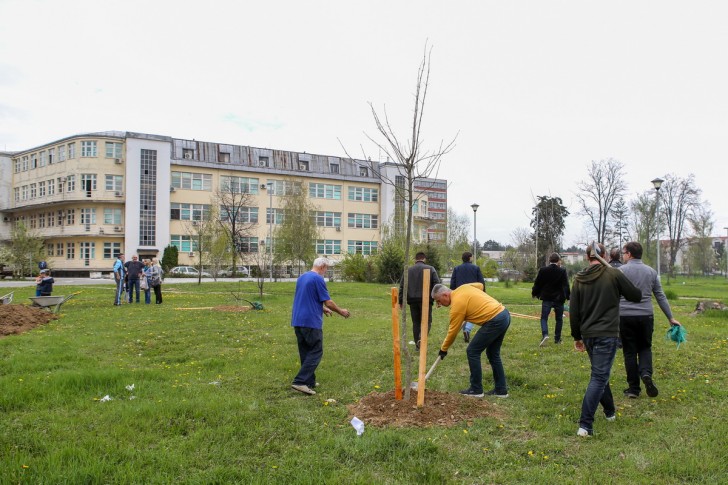 Rotarijancu Valjeva i Velenja sade drveće