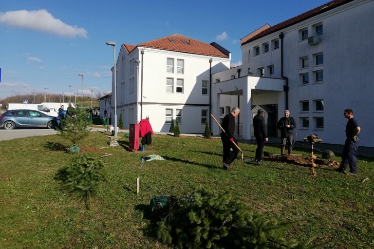 Rotarijanci zasadili drveće u Šestoj školi