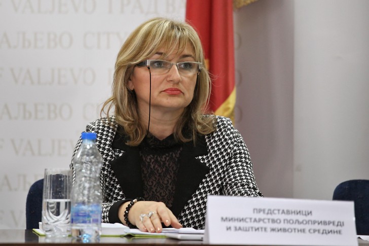 Radmila Šerović 
