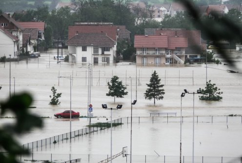 Ub pod vodom (foto: Stefan Teodosić)