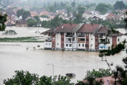 Ub pod vodom (foto: Stefan Teodosić)