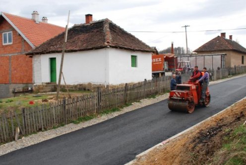 Zaseok Krivo Brdo (foto: Dragan Savić)