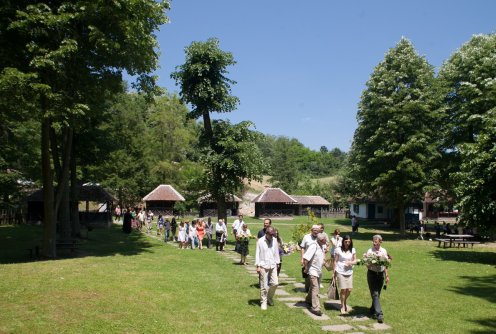 Desankini dani (ilustracija) (foto: Đorđe Đoković)