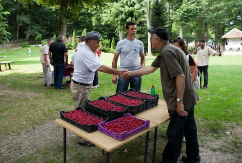 Dan maline u Brankovini (foto: Đorđe Đoković)