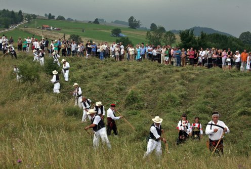 Kosidba na Rajcu (ilustracija) (foto: Dušan Jovanović)