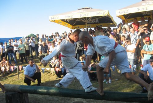 Borba na brvnu (arhiva) (foto: Dragan Savić)