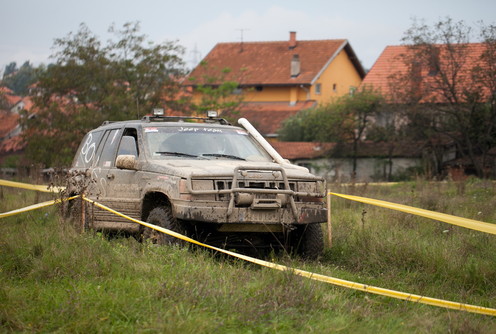 Povlen reli (ilustracija) (foto: Đorđe Đoković)