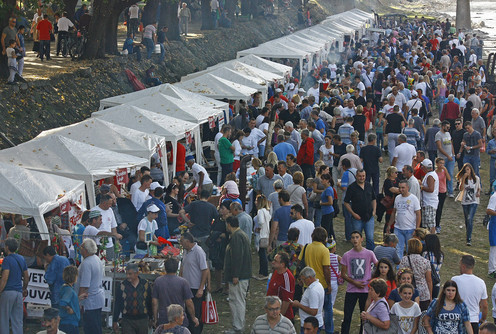 Festival duvan čvaraka (2014.) (foto: Sreten Pantelić)