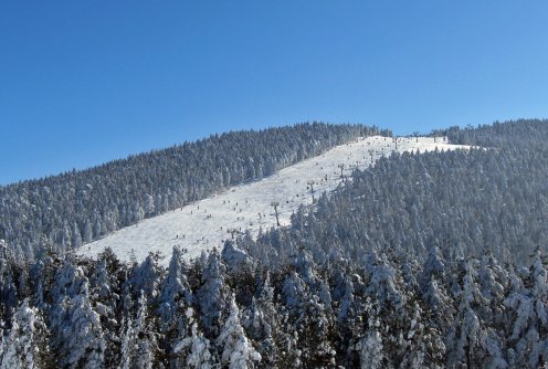 Ski staza na Divčibarima (foto: Darija Ranković)