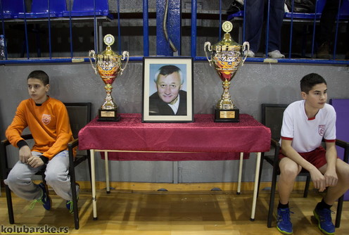 Memorijalni rukometni turnir Nikola Jevremović Gužva (ilustracija) (foto: Đorđe Đoković)
