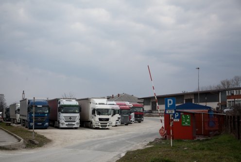 Carina (foto: Đorđe Đoković)