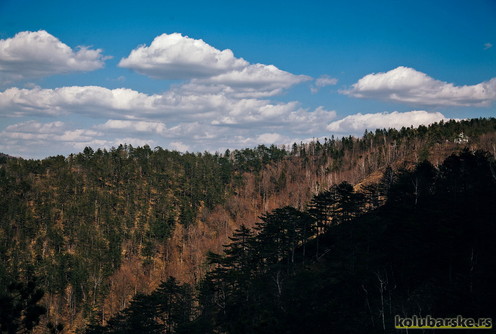 Pogled sa Ljutog krša, Divčibare (foto: Đorđe Đoković)