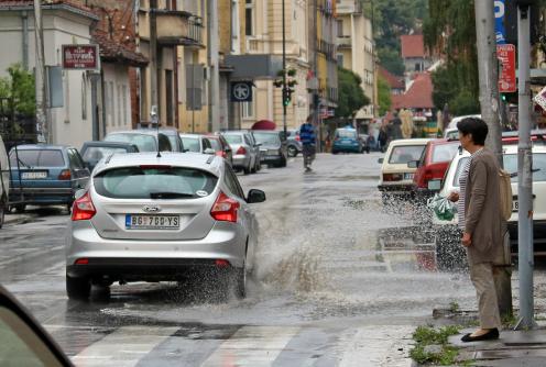 Bare u Vojvode MIšića (foto: Đorđe Đoković)