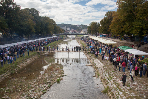 Festival duvan čvaraka (arhiva) (foto: Đorđe Đoković)