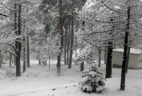 Divčibare 23.03.2016. (foto: Nevena Obradović)